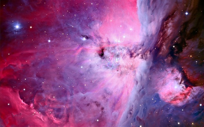 大藏游星_大藏游星被爆_大藏游星为什么恶心