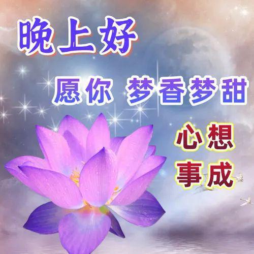 凌风-风味人生：我与风的亲密接触