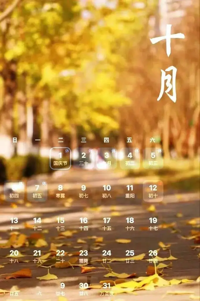 日历年份表_日历年度是什么意思_97年日历