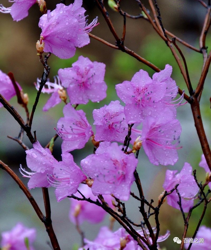 教师节呼号_请问教师节_教师节是几号