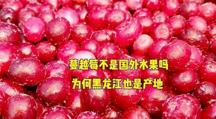 怒首领蜂大往生二周_mame怒首领蜂最大往生_怒首领蜂最大往生