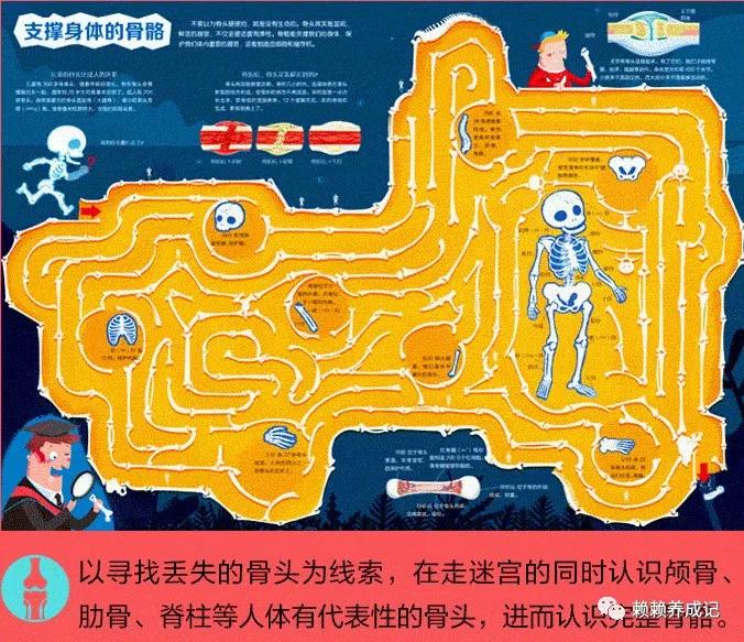 户外游戏教案大班100篇_大型户外游戏手机版教案_户外大型活动教案