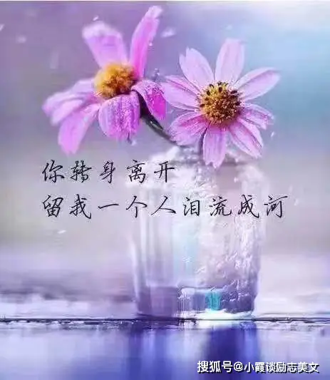 蜘蛛侠无家可归_蜘蛛侠无家可归上映时间_蜘蛛侠无家可归百度百科