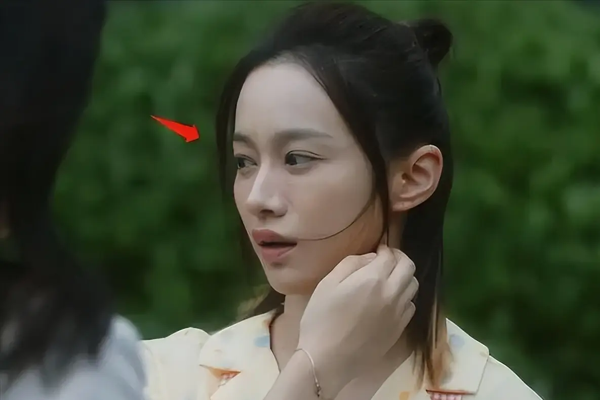 燕子安家有什么讲究_燕子安贝_子安燕
