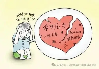 彼安汀_安淮汀印度_汀安是谁