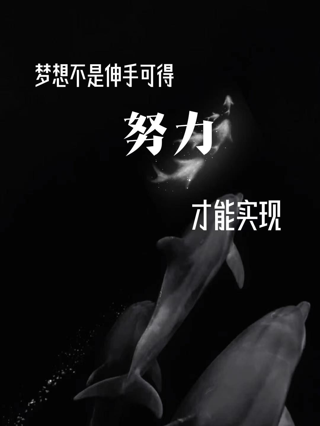 面对困难，坚定向前！猪突猛进，不畏艰险
