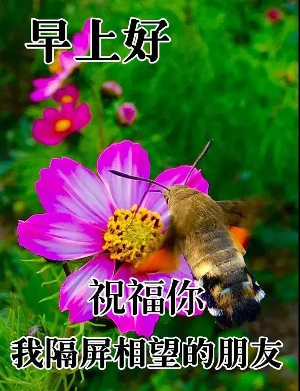 母亲节是啊一天_23年母亲节是哪一天_母亲节一年只有一天