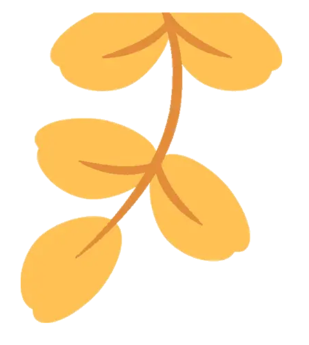 老师会发现_老师会不会遇到心动的家长_老师为什么会出现在这里?
