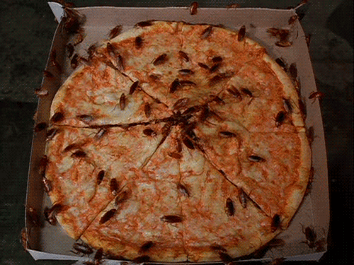 脆肉鸡是哪种鸡_脆鸡肉怎么做_鸡肉味嘎嘣脆