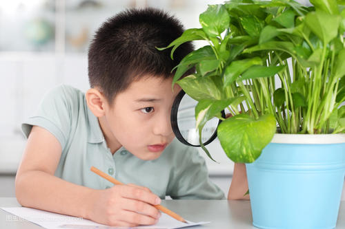 6岁小孩玩手机游戏_怎么防止小孩玩手机游戏_小孩玩手机游戏怎么控制