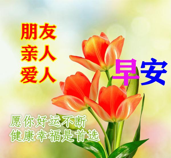 旋转吧雪月花：日本经典歌曲，唤醒心灵深处的思绪与情感