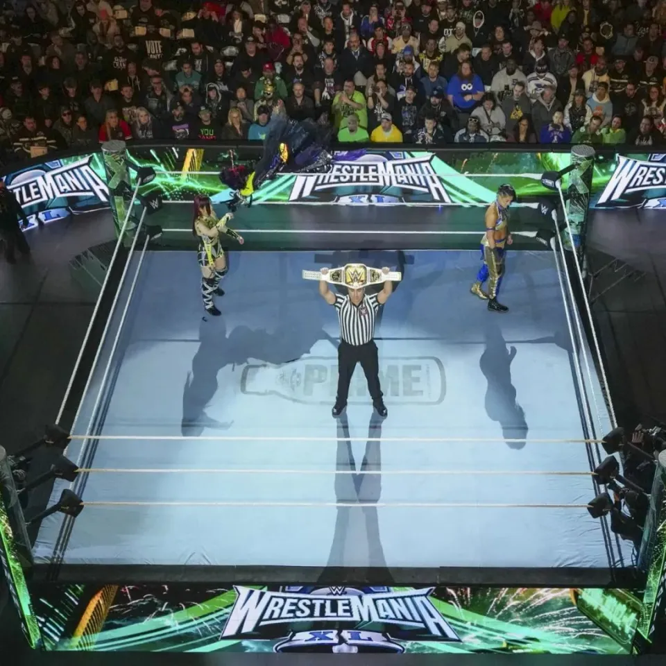 wwe的手机游戏_wwe中文手机游戏_中文手机游戏