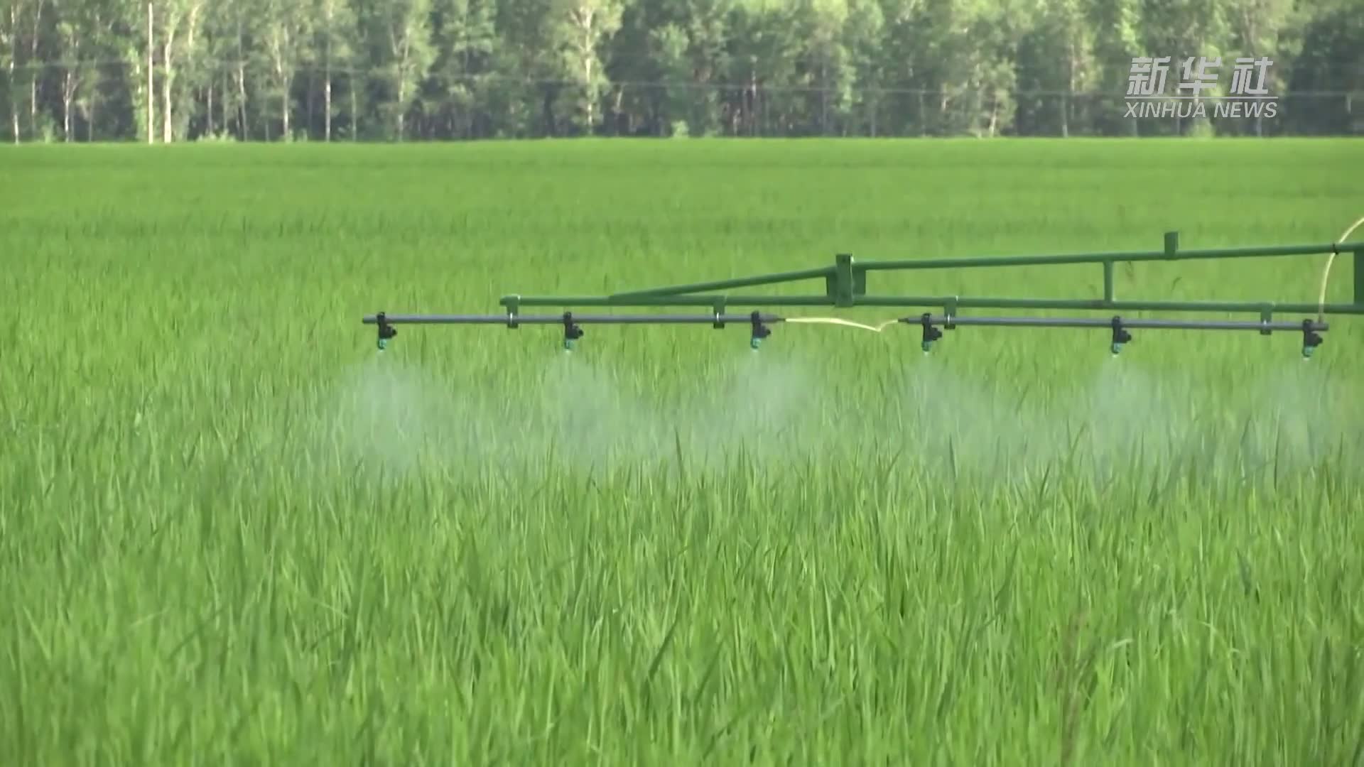 交易中心流程_交易中心是干啥的_去中心化交易所