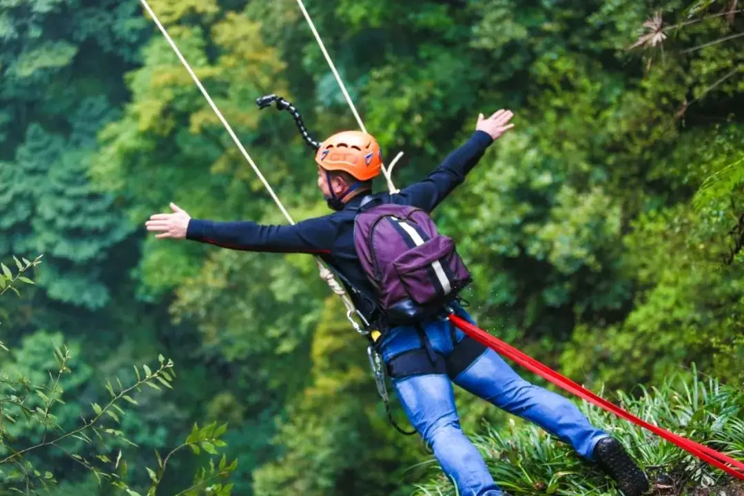 手机游戏手游_手机游戏switch_swing手机游戏