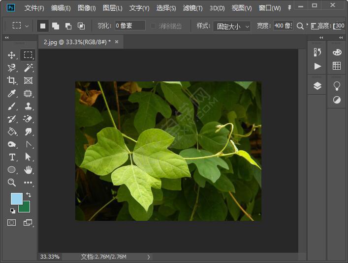 缩小放大图片快捷键_ps怎么放大缩小图片_ps放大缩小照片