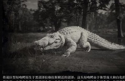 鳄鱼游戏手游_鳄鱼游戏手机版能下载嘛_一款鳄鱼的游戏