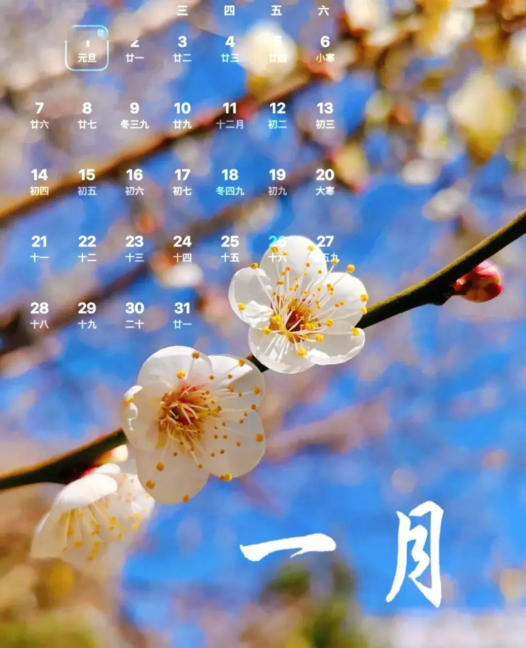 日历2024农历_日历2024全年农历表_日历2024