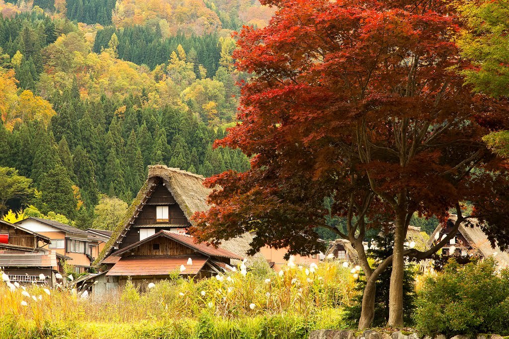 九之濑遥：日本童话世界中的美丽山间小镇