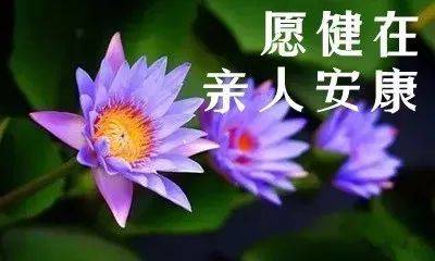 寒衣节是哪一天_寒衣节晚一天_寒衣节什么意思啊