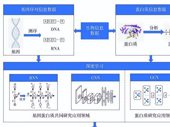 推荐手机游戏盒子_DNA游戏手机推荐_推荐手机游戏的app