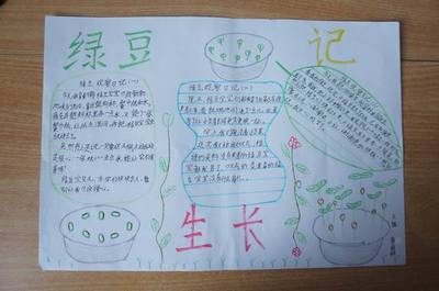 小辣椒波兹演员_小辣椒·波兹_波辣椒油怎么做