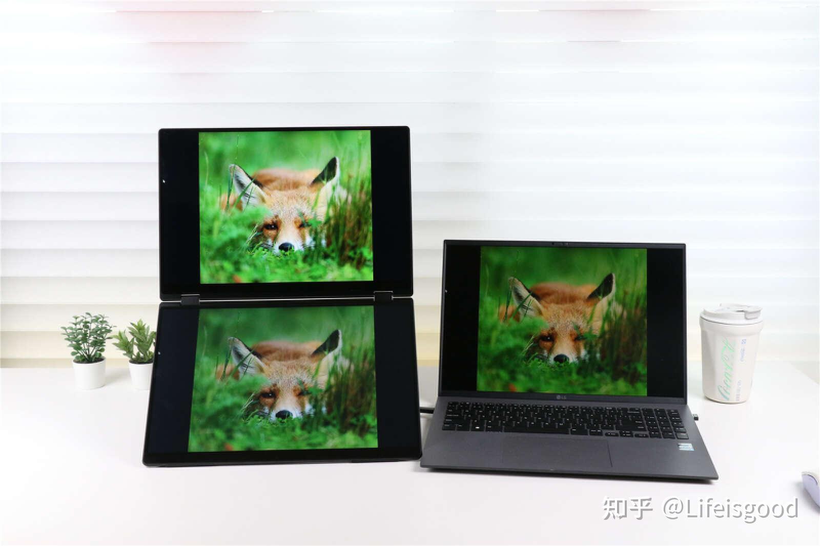 毒麻处方书写规范样本_毒mac_毒马齿苋图片