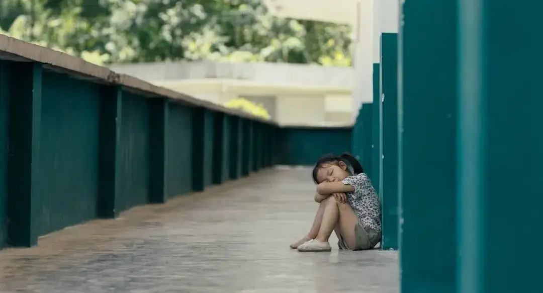 替情敌养儿子_情敌贝多芬情敌姐妹_情敌