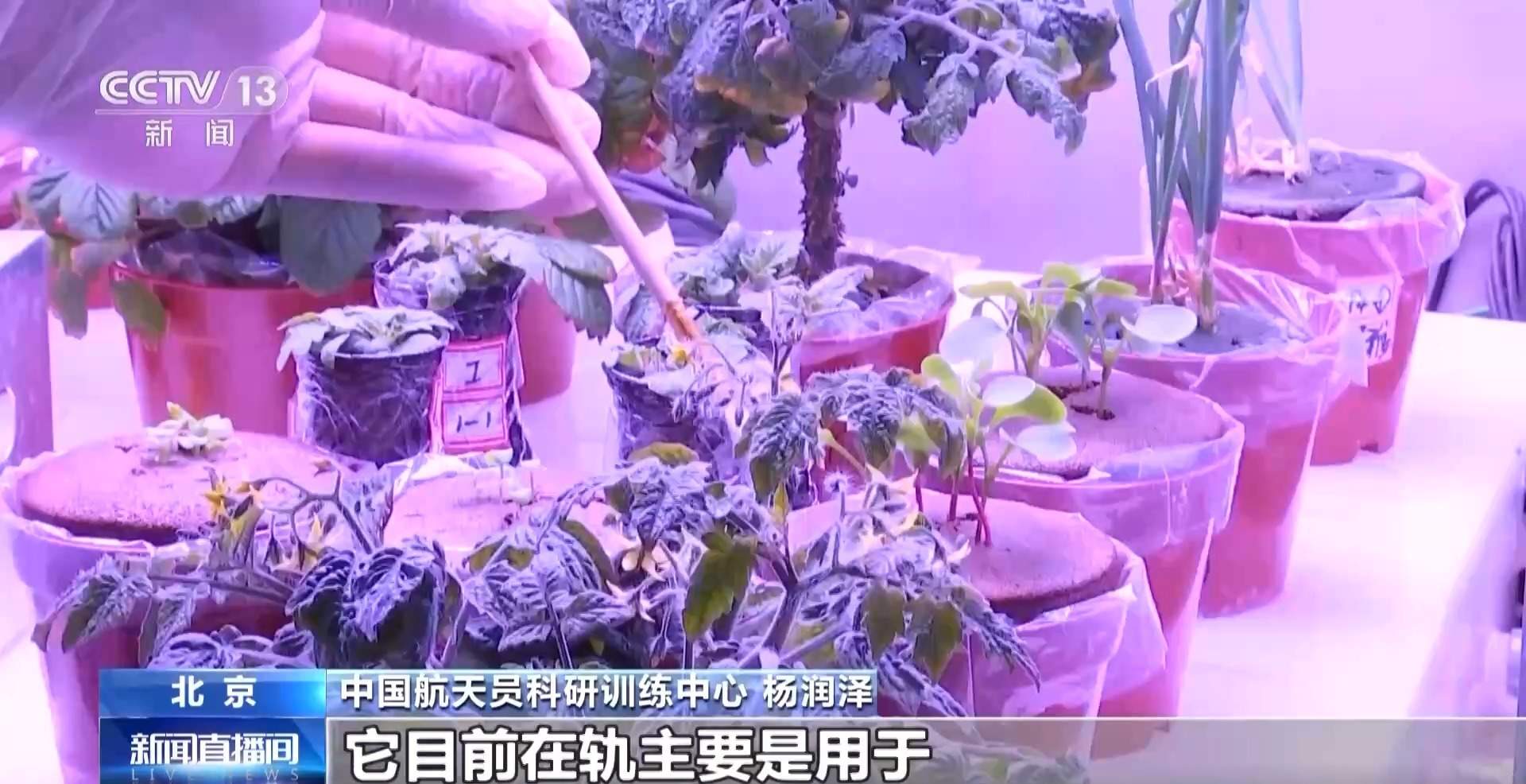 种菜游戏手机游戏_安卓种菜游戏_多人种菜手机游戏下载