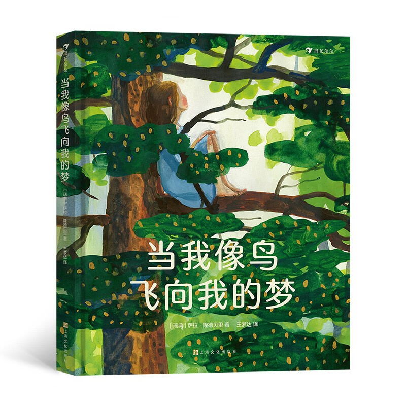 百元电影之旅：平凡小人物的坚持与梦想，触动心灵的纯粹体验