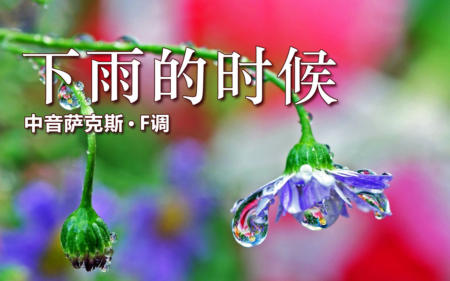 高千穗峡谷_高千穗铃所有作品_高千穗铃