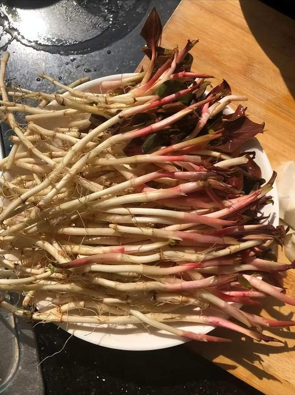 比较重口味的手机游戏-重口味游戏：大胆画面与独特机制的独特体