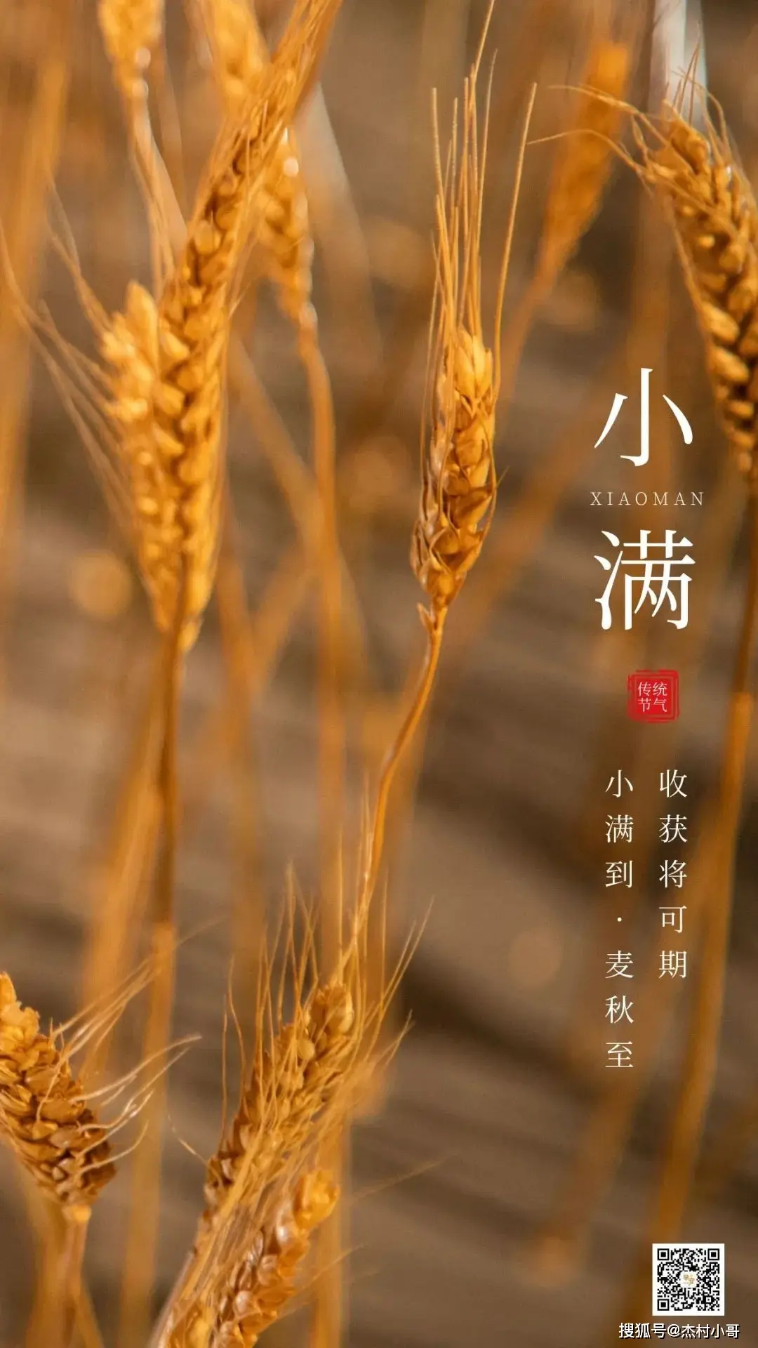 元旦搞笑短信图片_搞笑元旦短信_元旦搞笑祝福短信