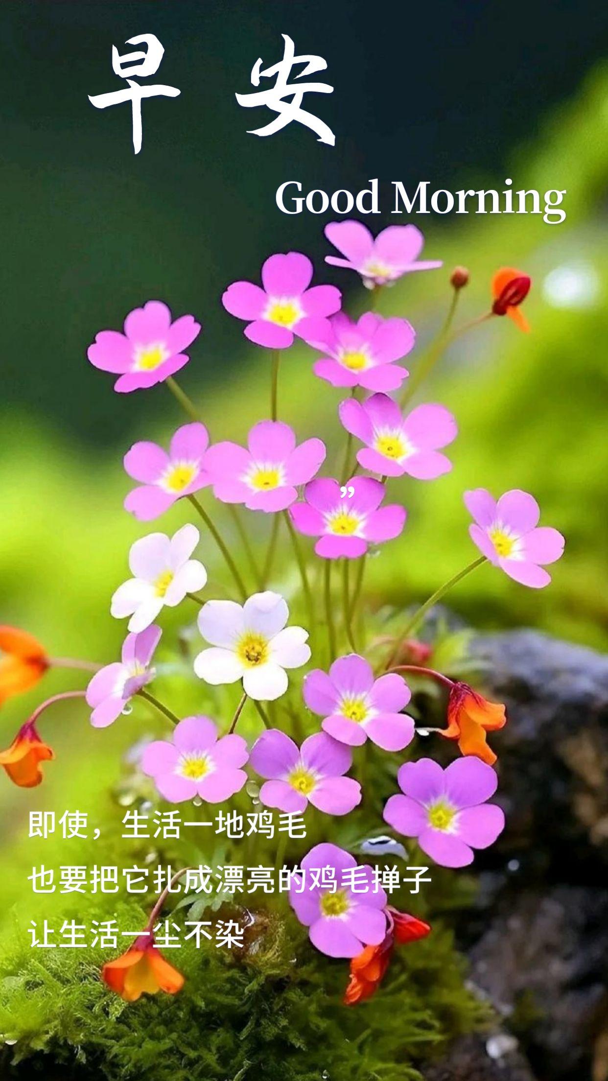 抖音能量有什么用_抖音正能量手机游戏名字_抖音正能量名字怎么取