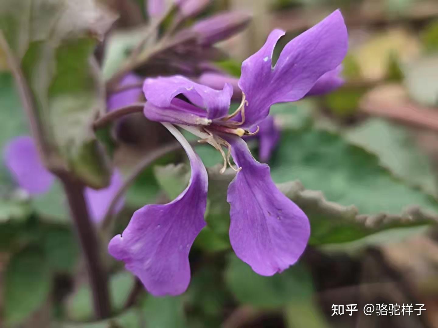 电影真好遇见你演员表_遇见你真好电影_真好遇见你电影结局