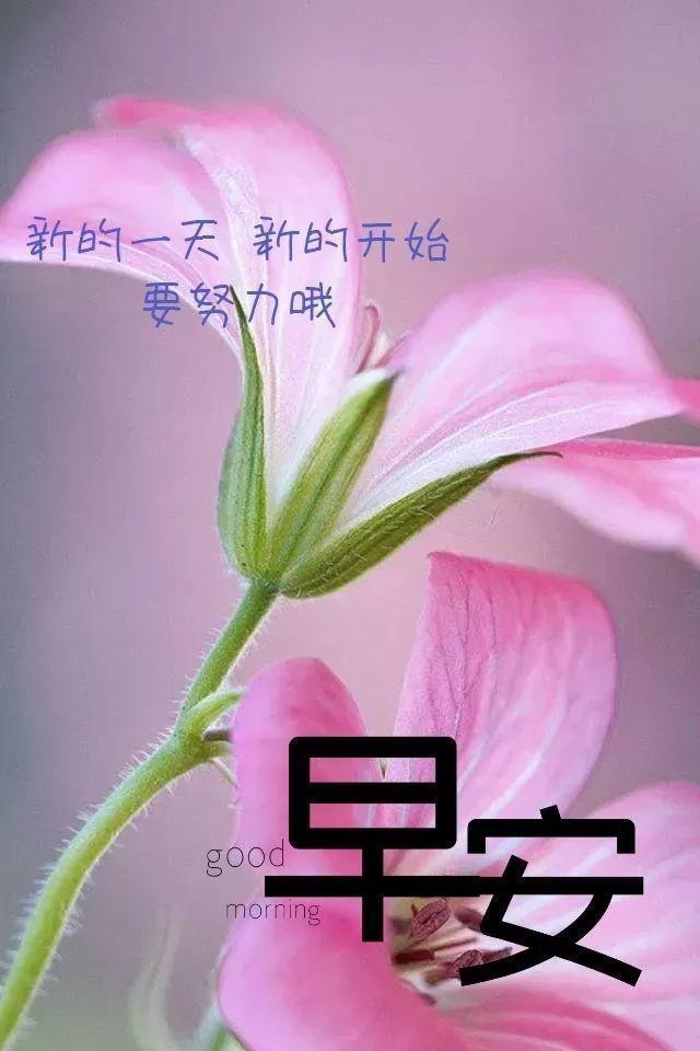 生活中的救命索：那些在困境中给予希望的力量
