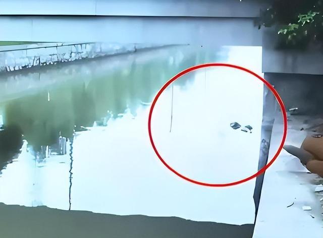 雾雨之森：寻找内心宁静与自然和谐共处的灵魂归宿