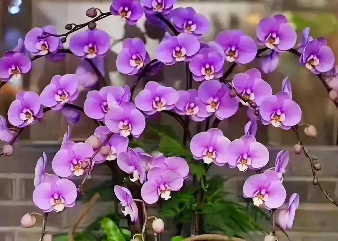 端午节哪一天2021_端午节哪一天2020_2023年端午节是哪一天