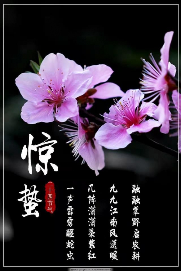 飞信一下_手机飞信客户端下载_飞信手机游戏