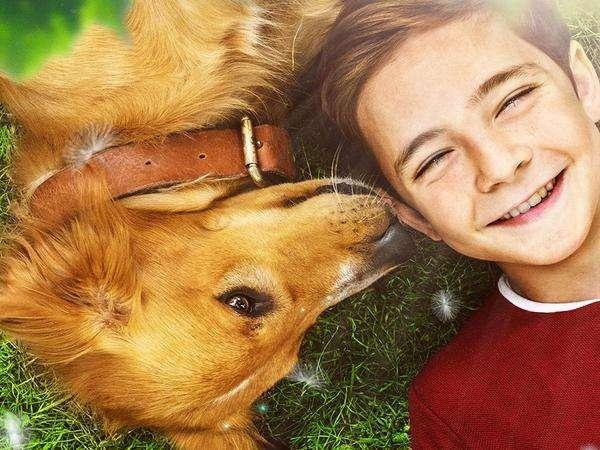 电影忠犬八公国语在线观看完整_忠犬八公电影完整版免费_电影忠犬八公在线观看完整