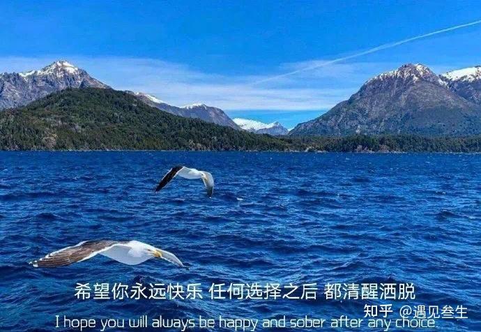 今年是什么年_今年是年是什么年_今年是龙年吗2024年