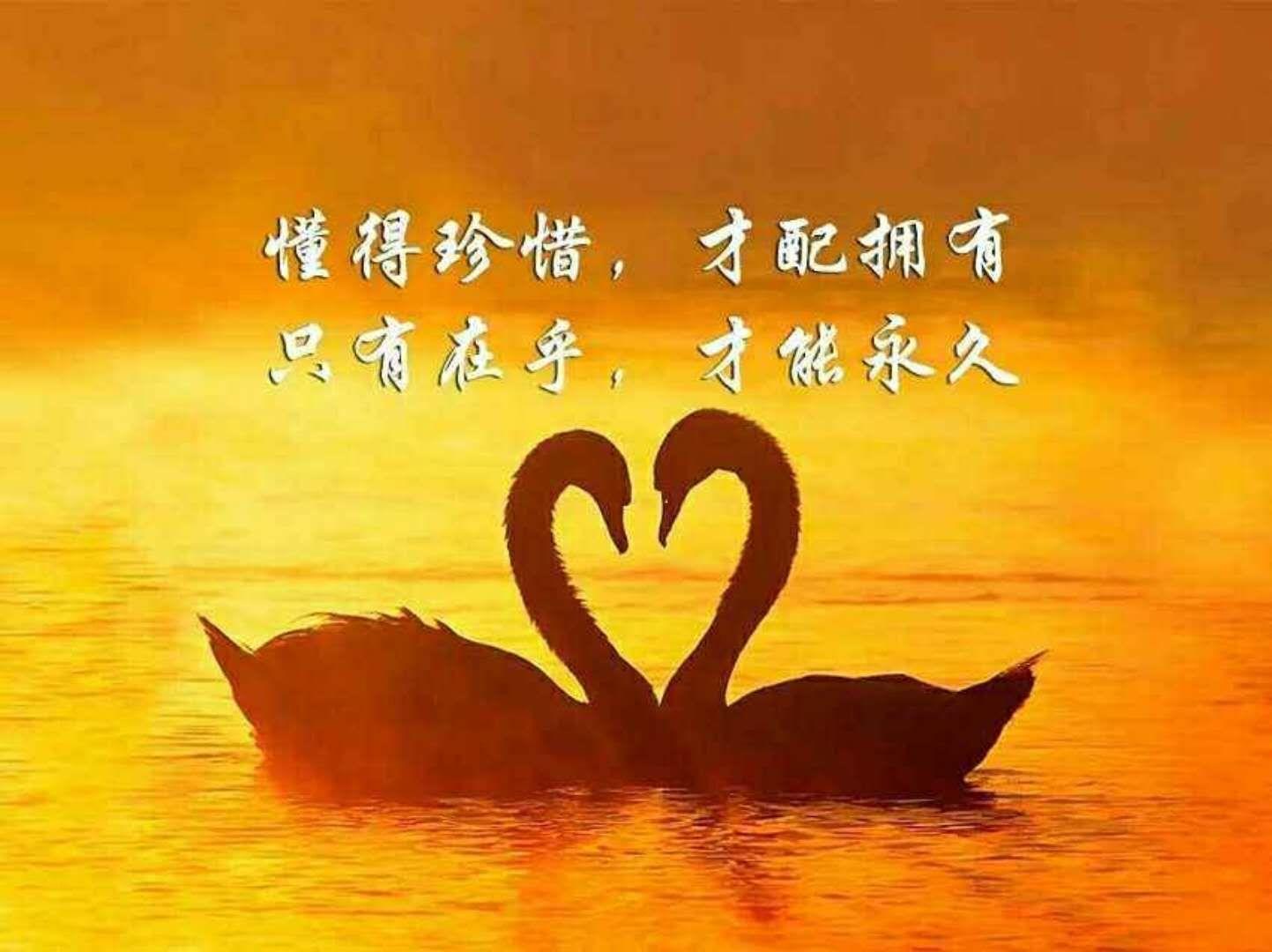 星期一的丰满漫画_丰满的定义是什么_丰满型是什么意思