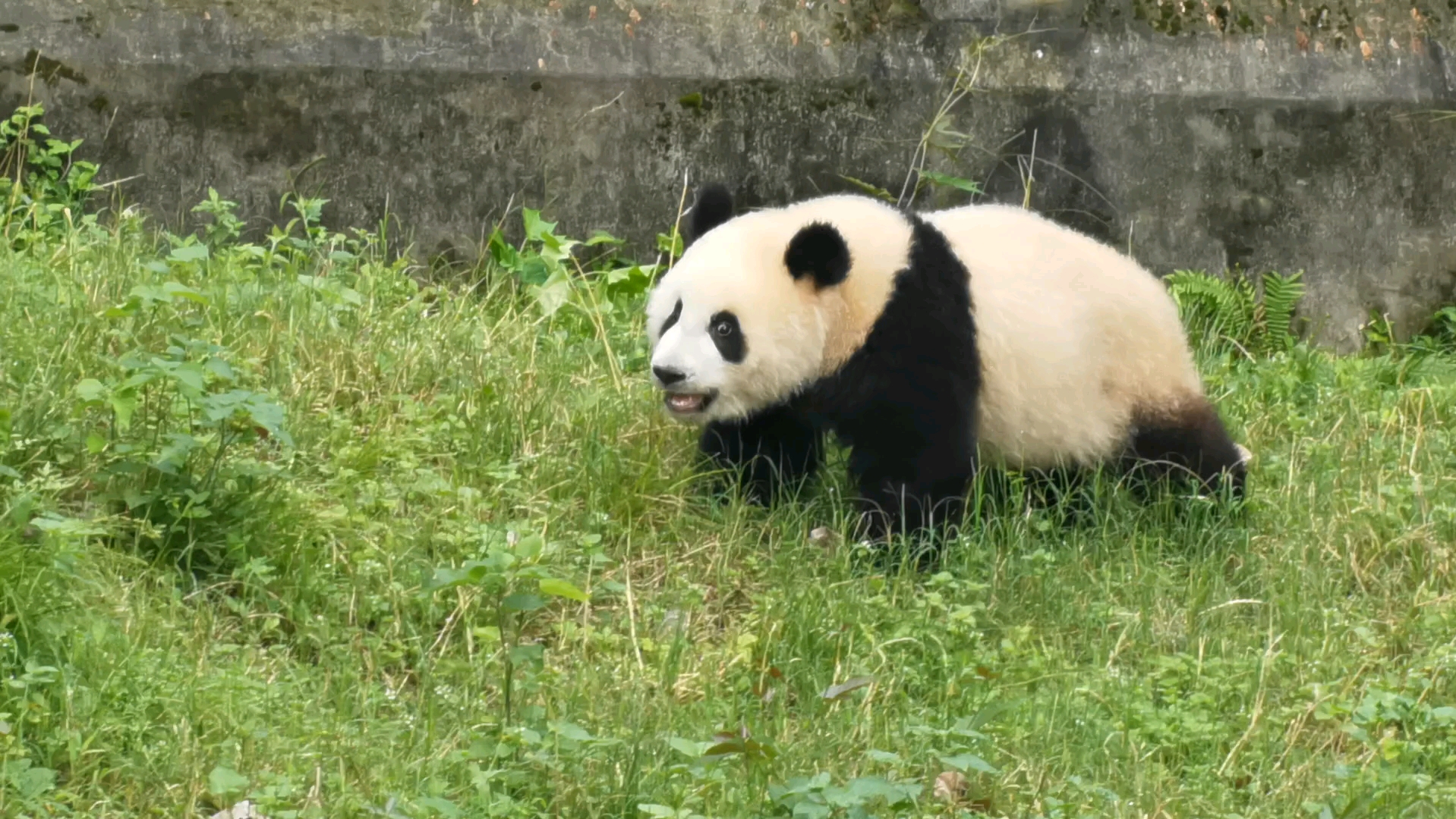 给小五做游戏手机壳_手机壳制作游戏_制作手机壳小游戏