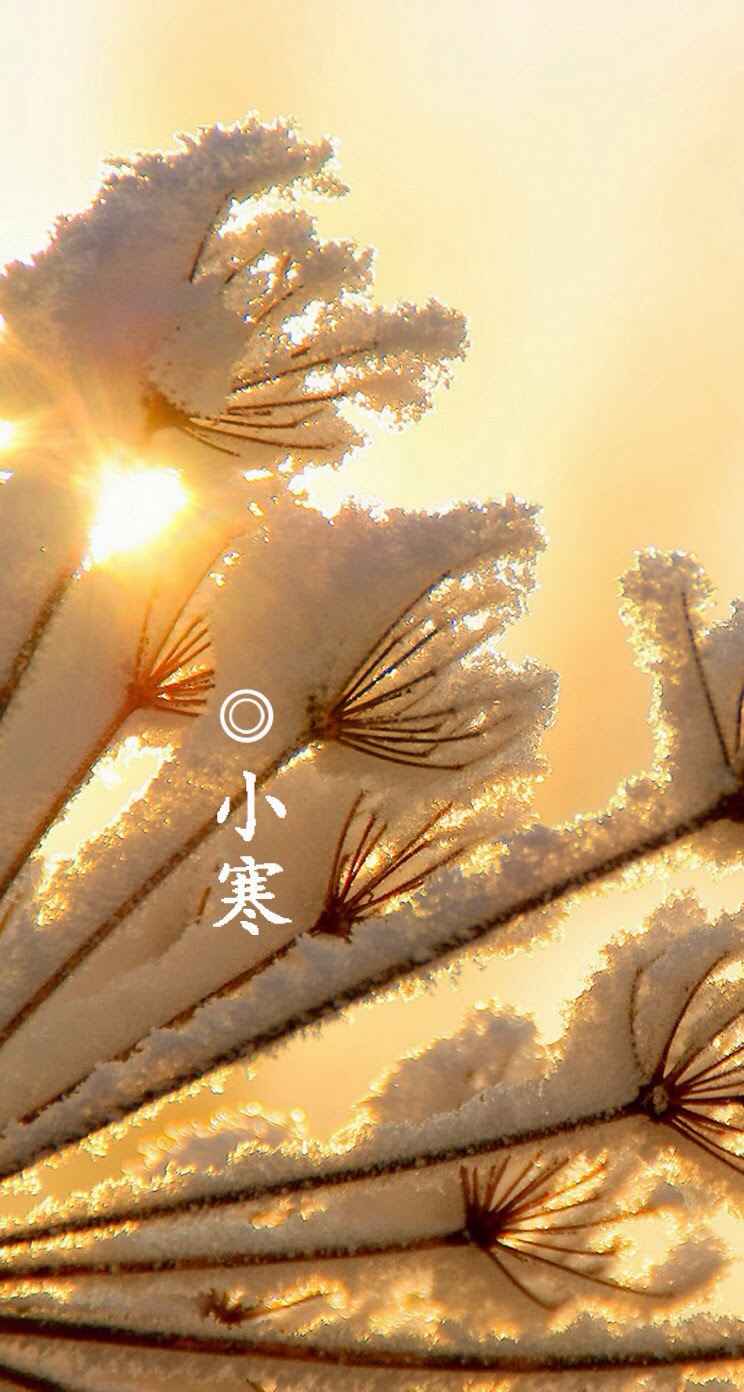 小寒是指什么和什么_小寒是指_小寒是什么意思