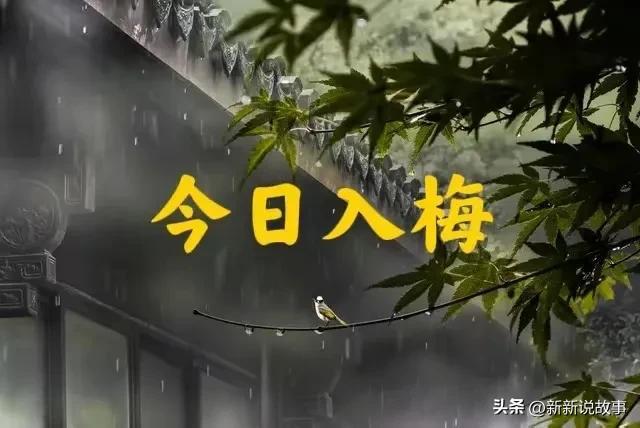 梅雨天-梅雨季节的忧郁：潮湿气息与沉重心情的交织