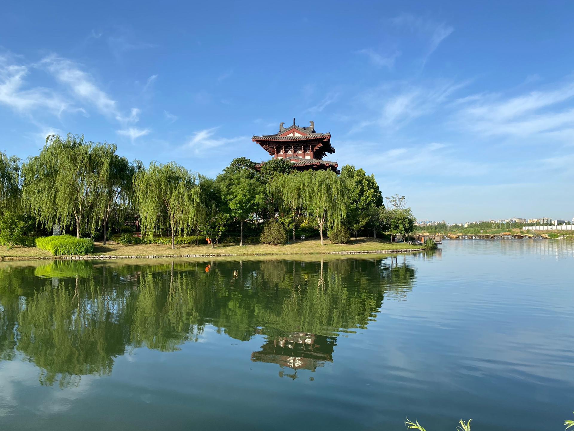 花魁是哪种花_天上人间头牌花魁_花魁