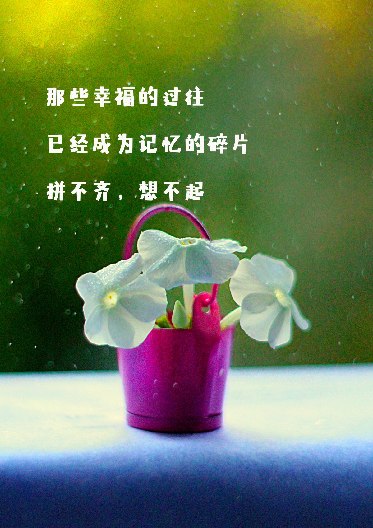 中岛阳子：高中时代的温暖记忆，低调却令人着迷的存在