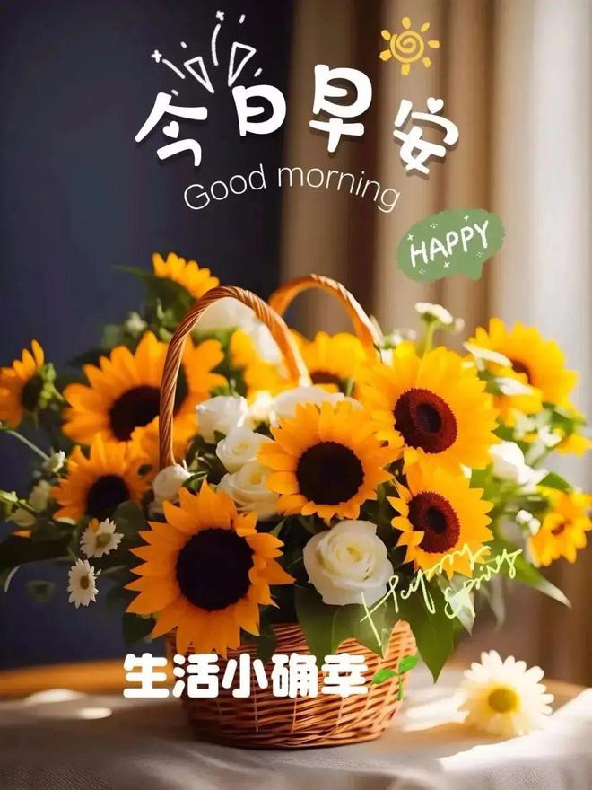 读者下载_读者手机上线时间_读者手机游戏