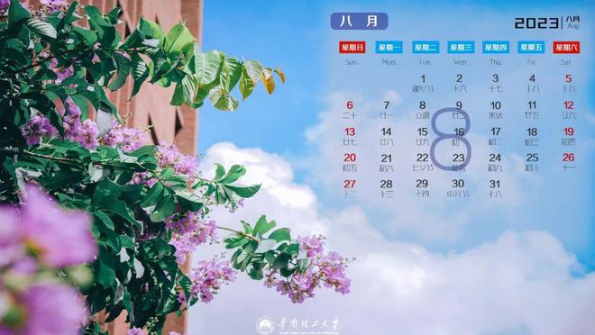 播放2023年的日历_2023的日历表_台历日历2023年