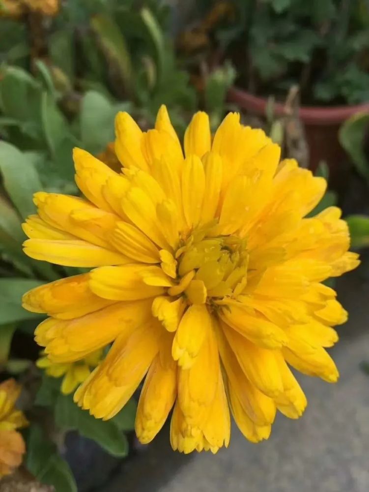 寒食节的来历和**俗_寒食节的有来_寒食节日来历