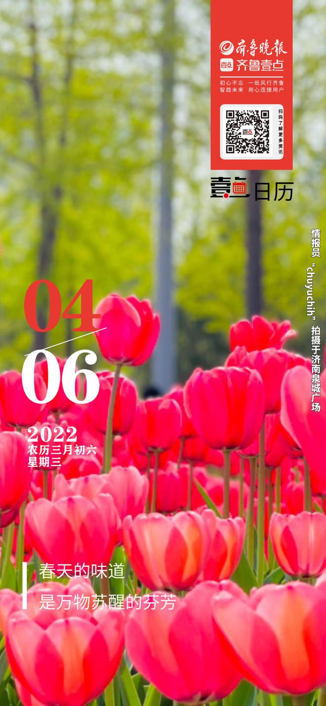 2019日历-2019 年日历：记录生活点滴，见证四季变换的